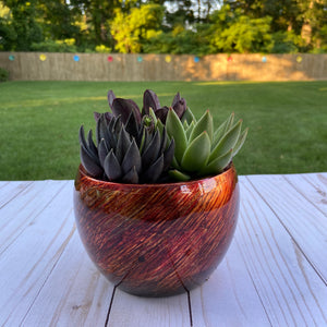 Orange Gloss Terrarium